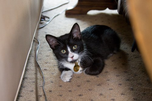 Misha_2008-07-10_IMG_0060